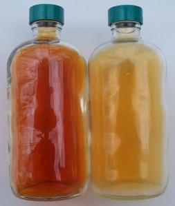 Image courtesy of Greenhorn1 and Wikipeida.