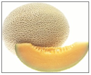 Nv05 Not Actually Triton