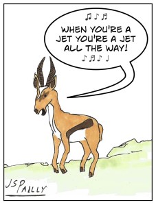 dc30-antelope-west-side-story